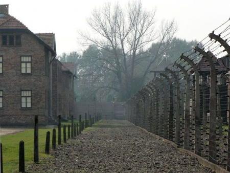 re Auschwitz