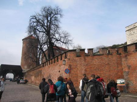 le chateau Wawel